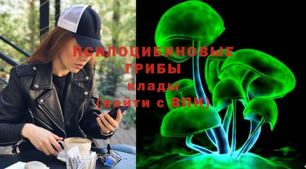 спиды Горняк