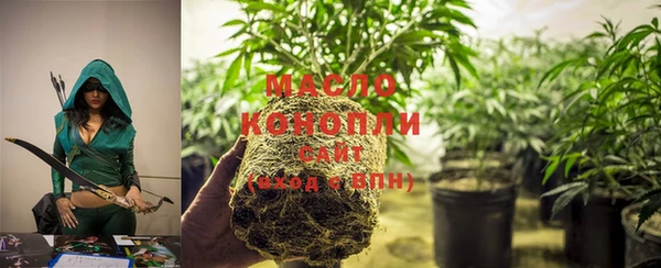 спиды Горняк