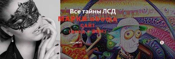 спиды Горняк