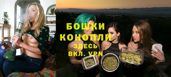 спиды Горняк