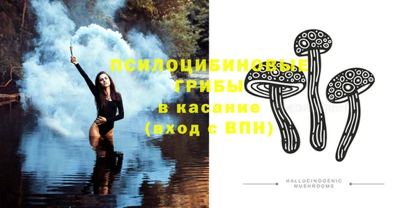 тгк Горнозаводск
