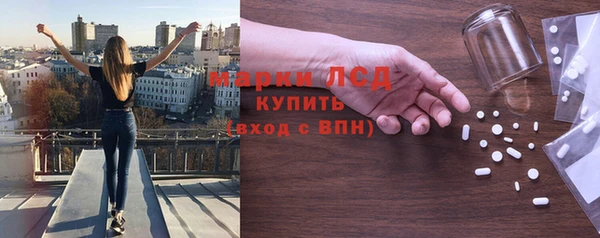 спиды Горняк