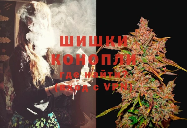 спиды Горняк